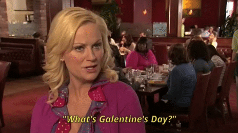 Leslie Knope - Celebrate Galentine's Day!
