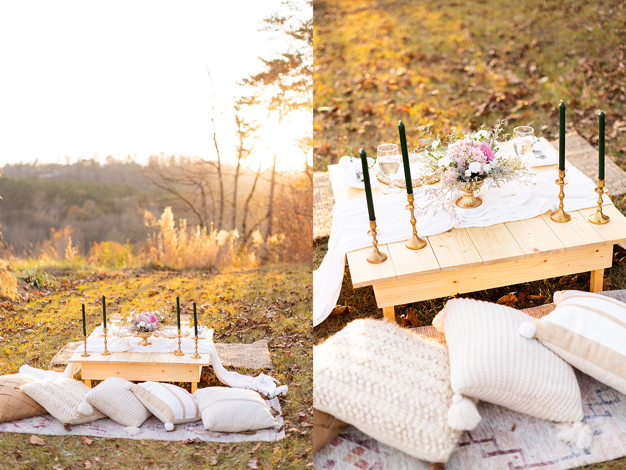 Eleanor Stenner Photography - a Birmingham, Alabama wedding photographer - shares how to plan the perfect proposal