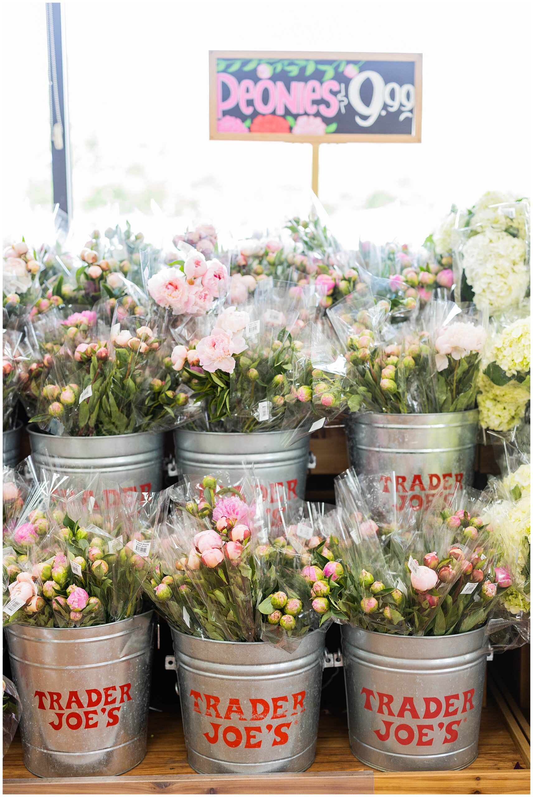 Trader Joe's at The Summit in Birmingham, AL